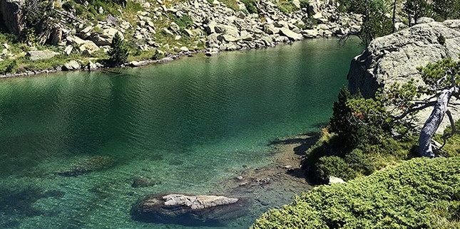 Teste pioneiro contra espécies invasoras num lago em Colomèrs